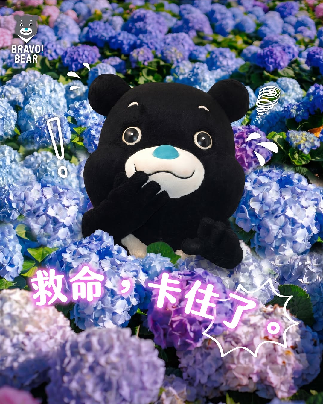 讚讚今日私生活公開：關於我變成一顆特大號繡球花這件事 因為⋯⋯花叢太密，讚讚卡在裡面動彈不得（絕對不是變胖，是花太熱情了啦！） 為...